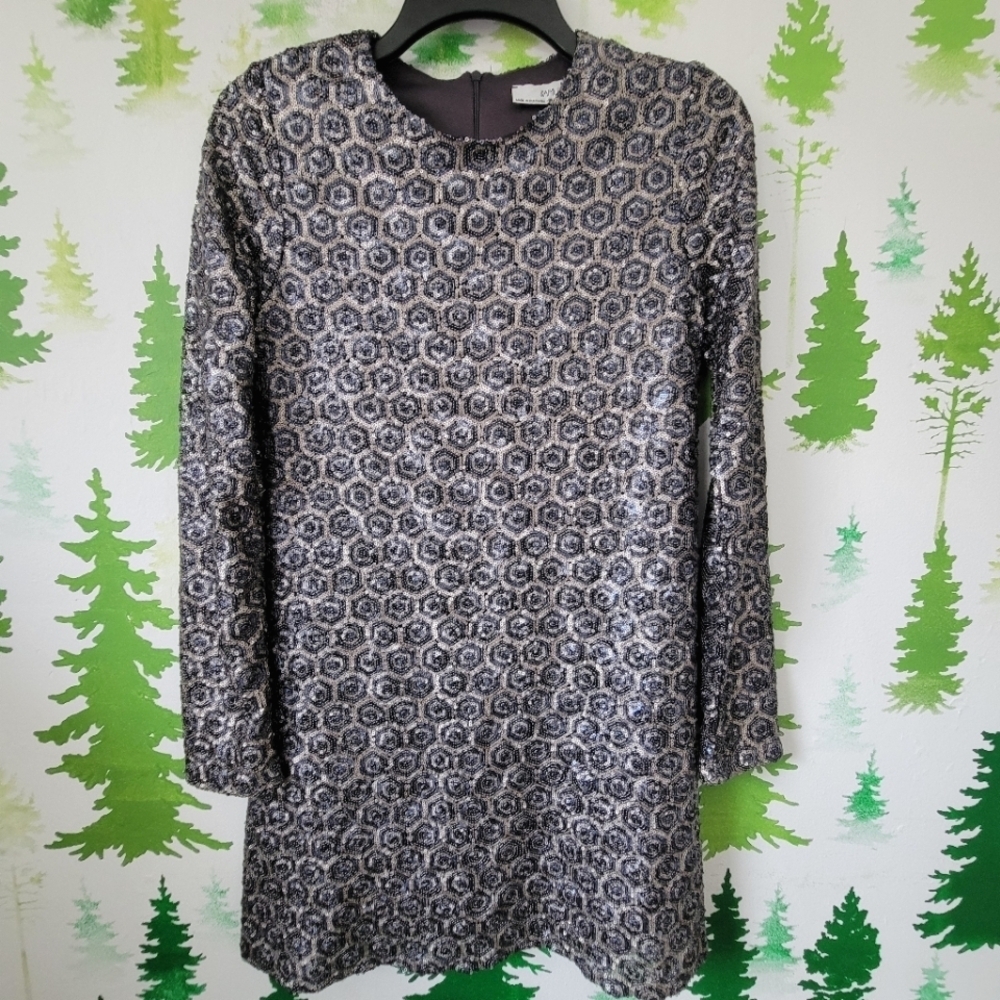 Zara Sequin Long Sleeve Dress.